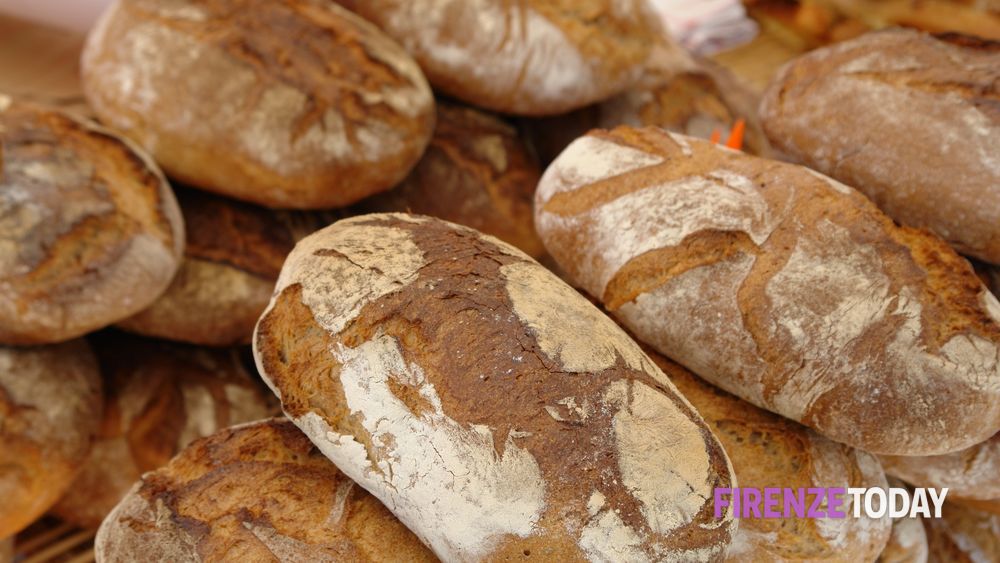 "Ci sta il pane e la sassata", significato e origine della frase Il detto "Ci sta il pane e la sassata" significa che una situazione è difficile e complicata, dove si affrontano sia aspetti positivi che negativi. L'espressione deriva dalla combinazione di due elementi contrastanti, il pane rappresenta il bene, l'essenziale o il positivo, mentre la sassata indica qualcosa di brutto, di violento o di negativo. L'origine precisa di questa espressione non è nota, ma è probabilmente basata sull'idea che nella vita si affrontano sia momenti piacevoli che difficoltà.