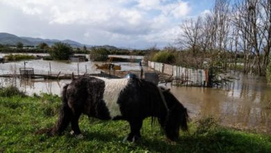 Colonna Protezione civile Puglia verso Toscana per aiuto.