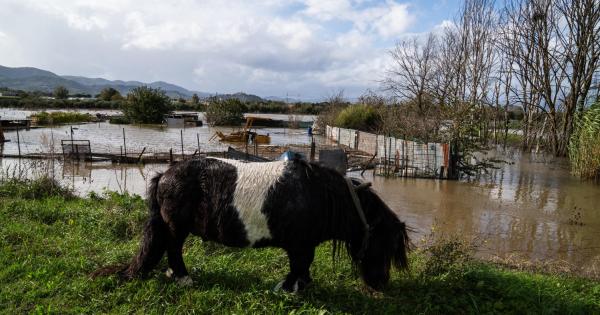 Colonna Protezione civile Puglia verso Toscana per aiuto.