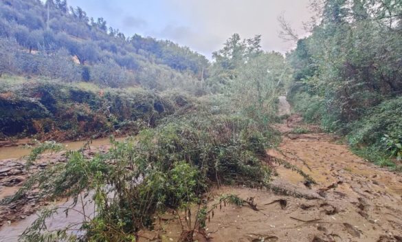 Conad Nord Ovest sostiene la Toscana dopo l'alluvione - gonews.it