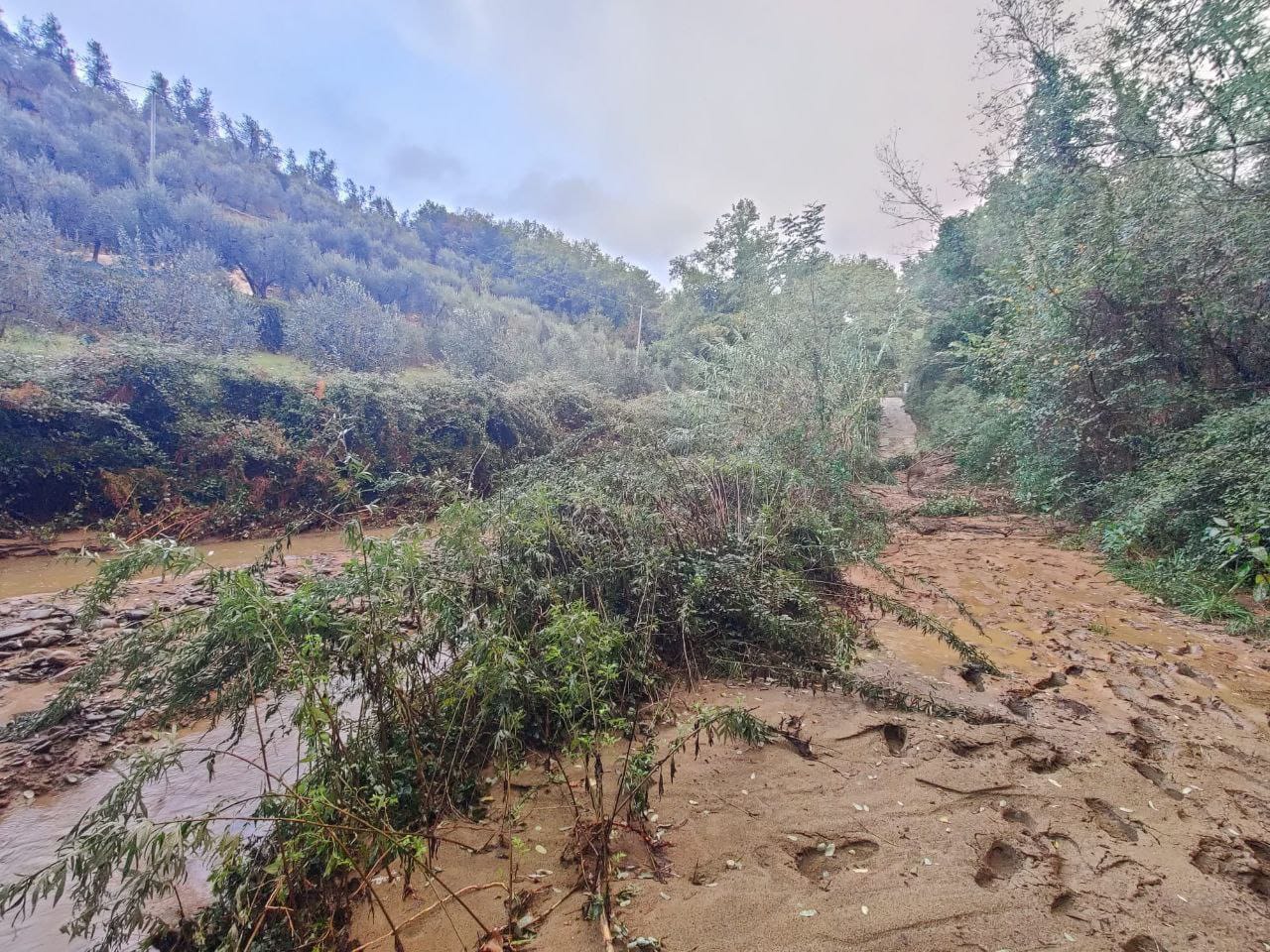 Conad Nord Ovest sostiene la Toscana dopo l'alluvione - gonews.it