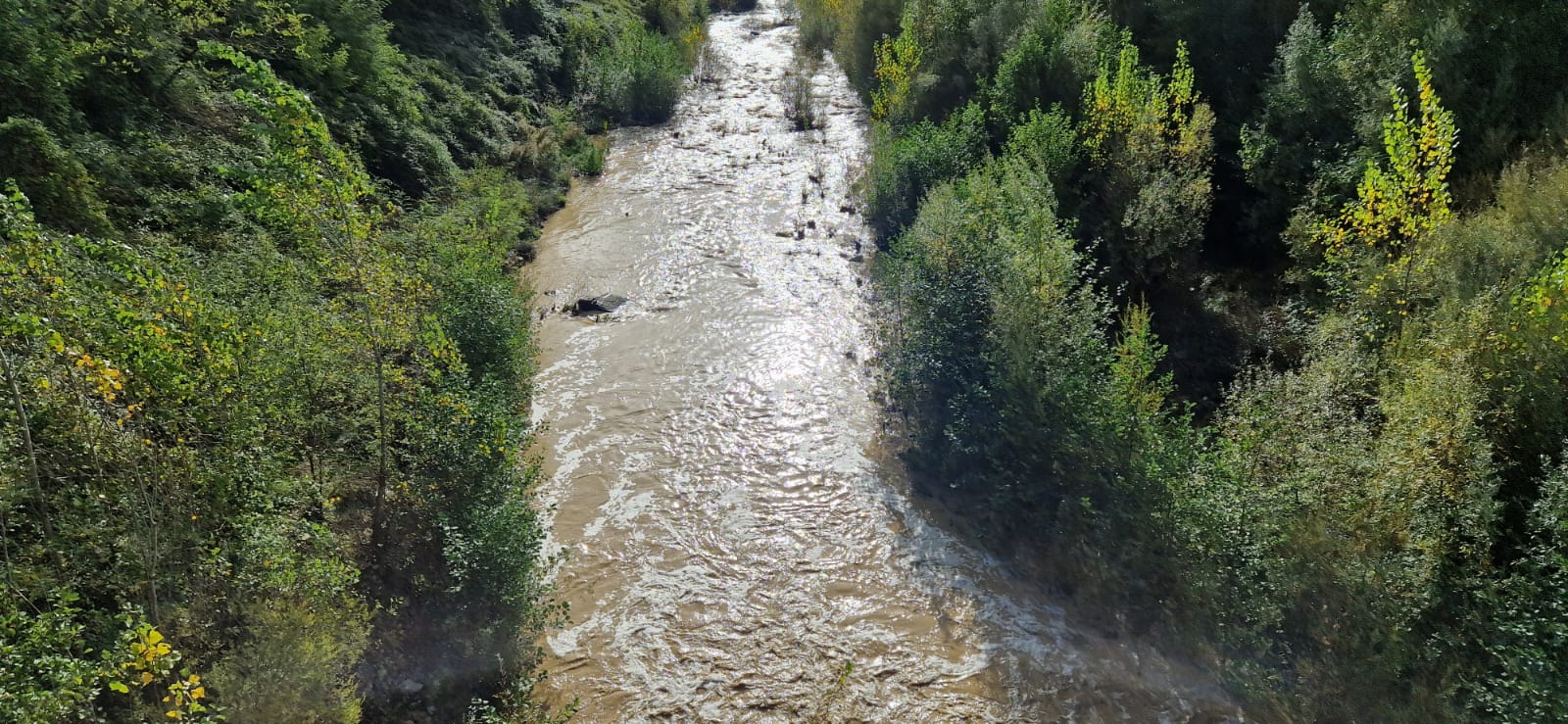 Consorzio di bonifica ripristina fiumi Arbia e Orcia colpiti da piogge intense - Siena News