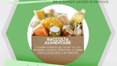 raccolta alimentare difendere lucca