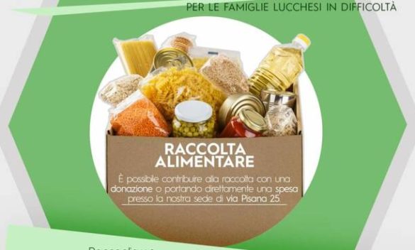 raccolta alimentare difendere lucca