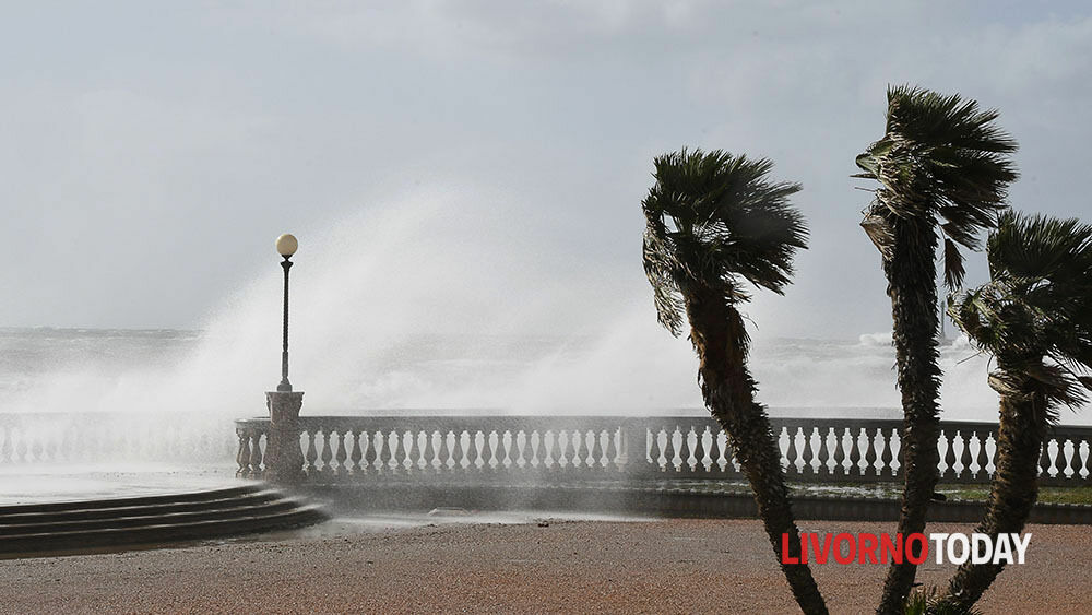 Domani forti raffiche di vento, allerta meteo!