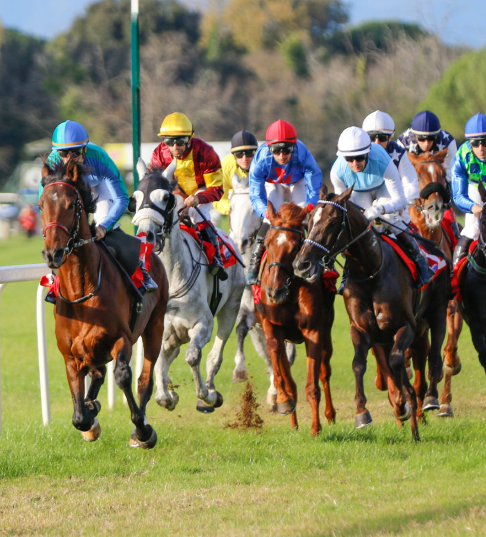 Domenica 5 novembre, sette corse all'Ippodromo di San Rossore - Il primo giornale online di Pisa.