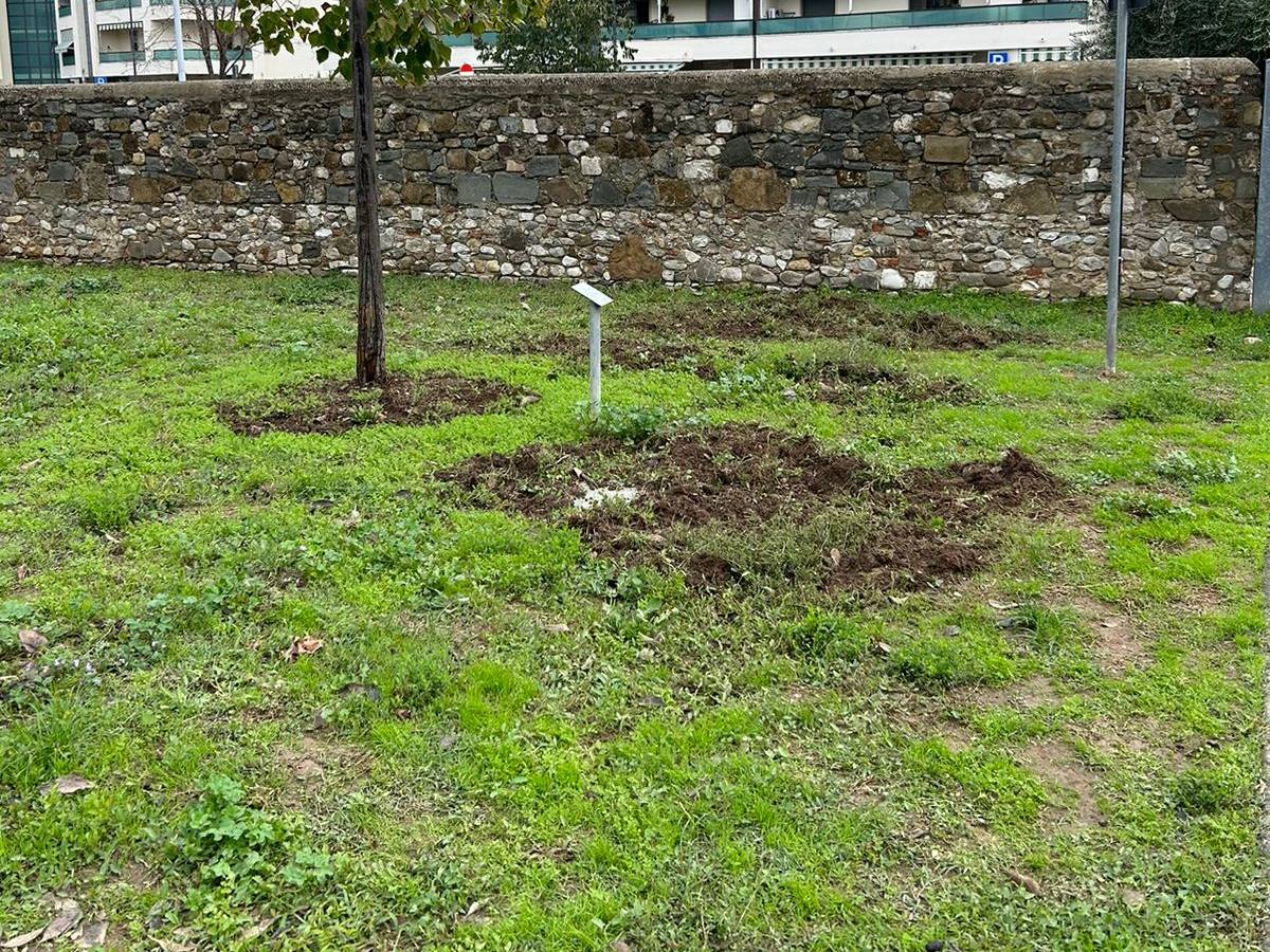 Firenze, cinghiali e degrado nel giardino Norma Cossetto