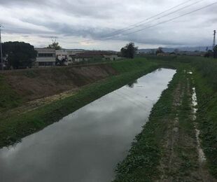 Generi di Prima necessità per la popolazione colpita dall'alluvione, un aiuto indispensabile.