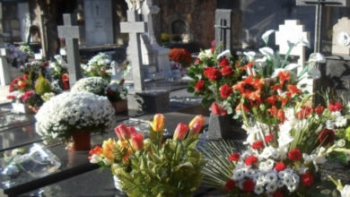 I morti diversi da The Walking Dead - Giornale online di Pisa
