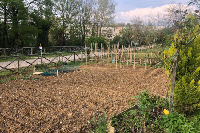 Orti urbani San Miniato a Siena