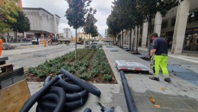 Iniziano lavori a Pisa, nuovi alberi tra Stazione e zona Arena Garibaldi.