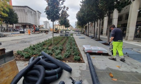 Iniziano lavori a Pisa, nuovi alberi tra Stazione e zona Arena Garibaldi.