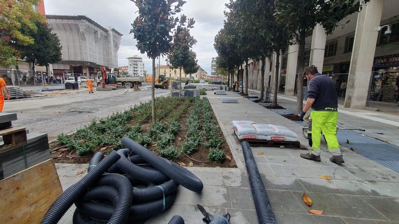 Iniziano lavori a Pisa, nuovi alberi tra Stazione e zona Arena Garibaldi.