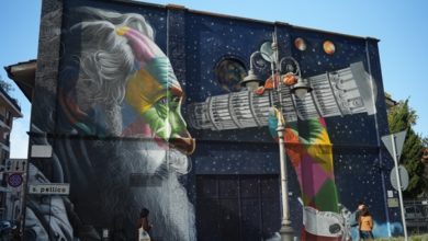 Kobra, street artist, realizza immenso murale a Pisa - Livorno Sera