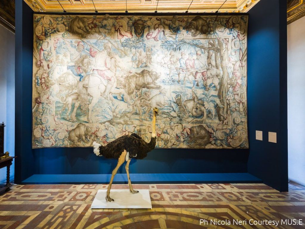 "Le più strane e belle invenzioni del mondo" a Palazzo Vecchio, una mostra imperdibile.