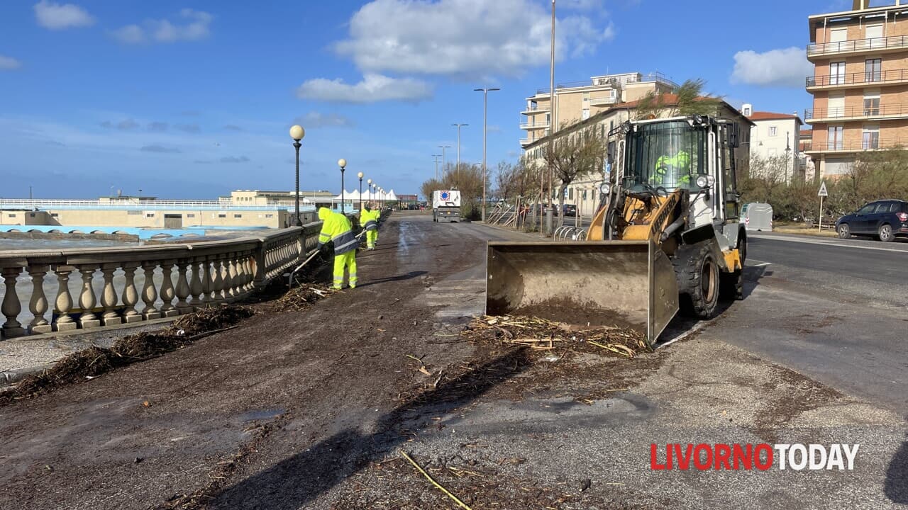 Lungomare invaso dai detriti, ruspe al lavoro per la pulizia | FOTO e VIDEO