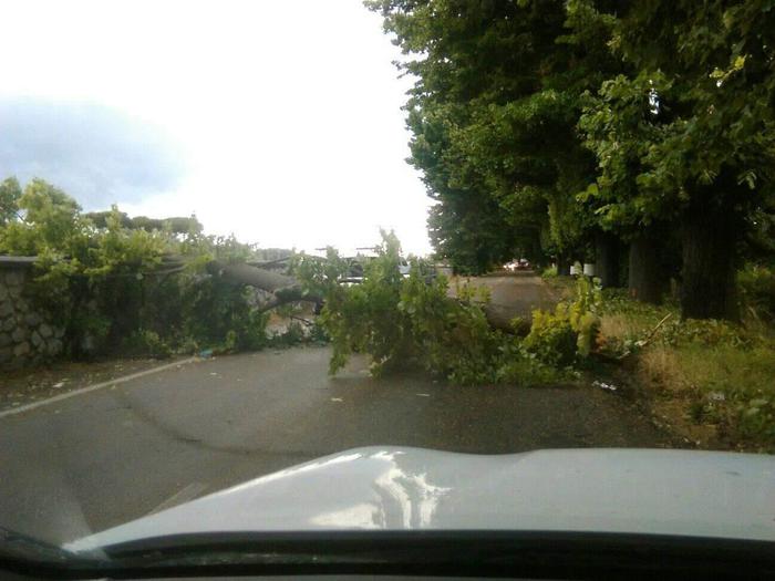 Maltempo, alberi caduti e allagamenti nel Pisano - Ansa.it