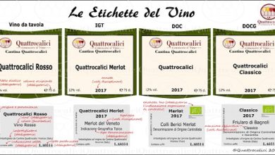 Nuovi obblighi etichettatura vini e controlli, cosa cambia?