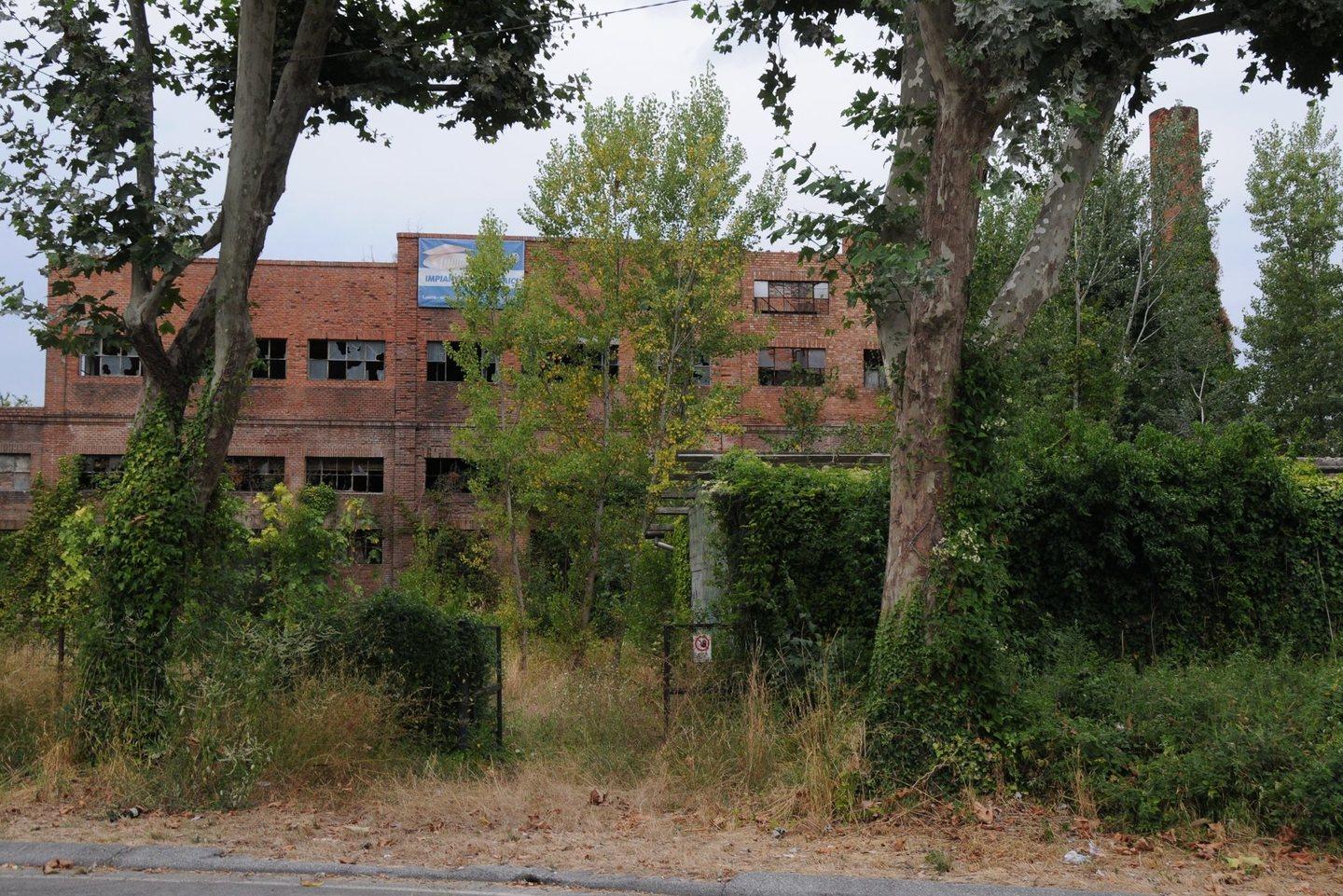 Oleificio Borella all'asta, votate le nostre osservazioni