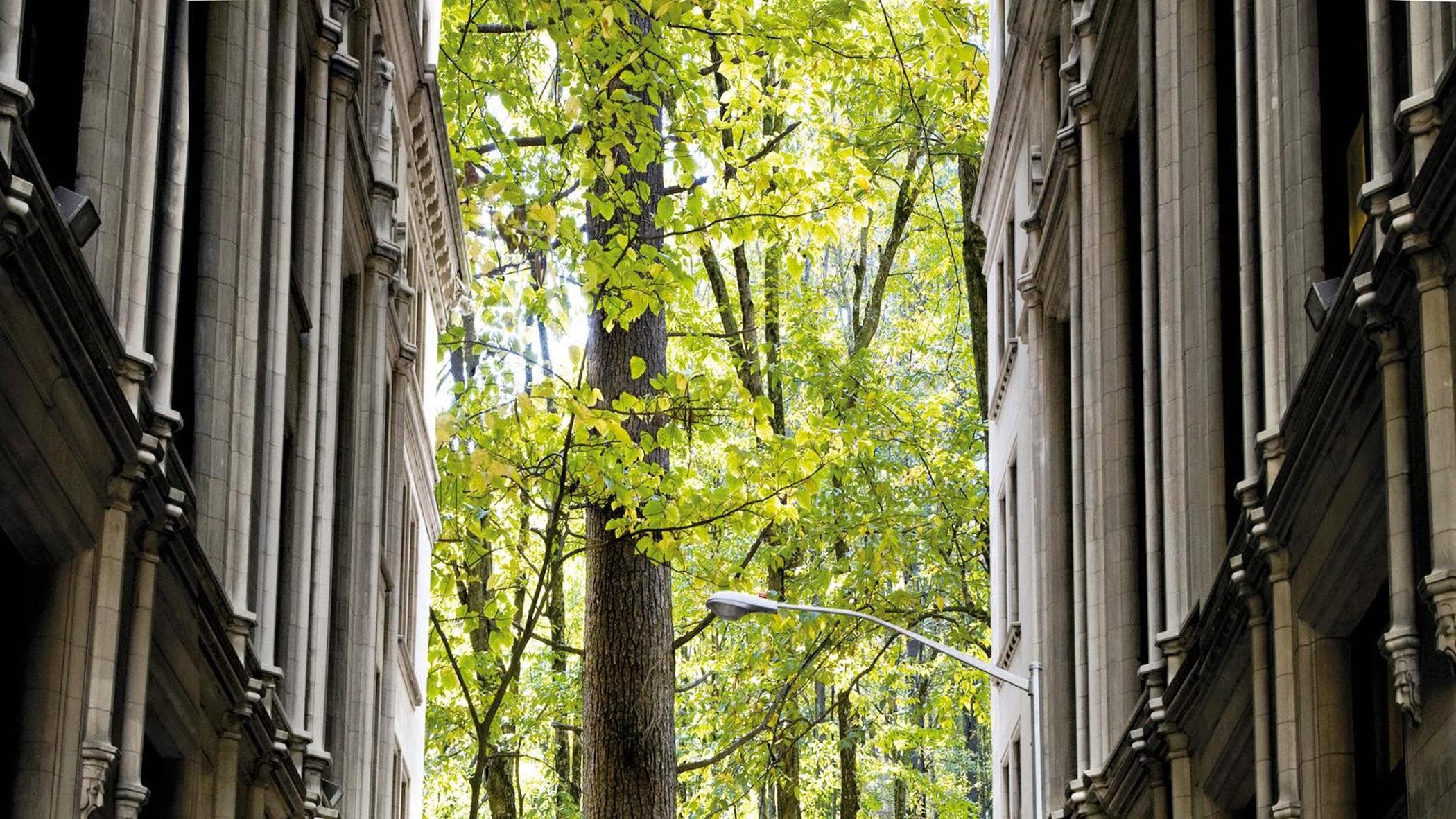 Oltre il giardino, la lezione di Gilles Clément sulla natura.