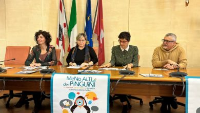 Origine delle parole, i pinguini come modello