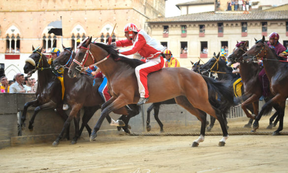 Palio di Siena del 16 agosto 2023, mossa