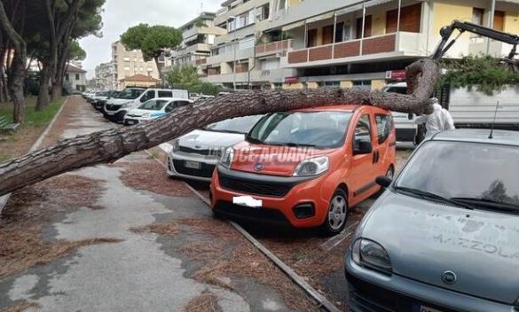 maltempo, auto ditrutta da pino crollato a Marina di Carrara