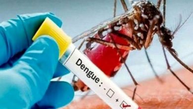Sindaco di Pisa ordina disinfestazione per caso di Dengue