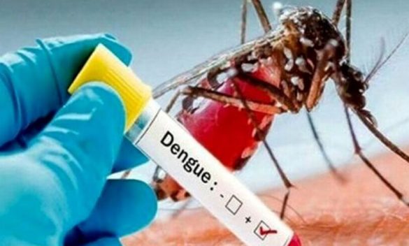 Disinfestazione urgente a Pisa per caso di Dengue