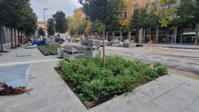 Pisa, viale Gramsci, alberi per una stazione più verde