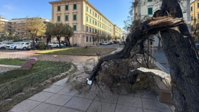 Livorno, scuole, parchi e cimiteri riaprono dopo nubifragio.