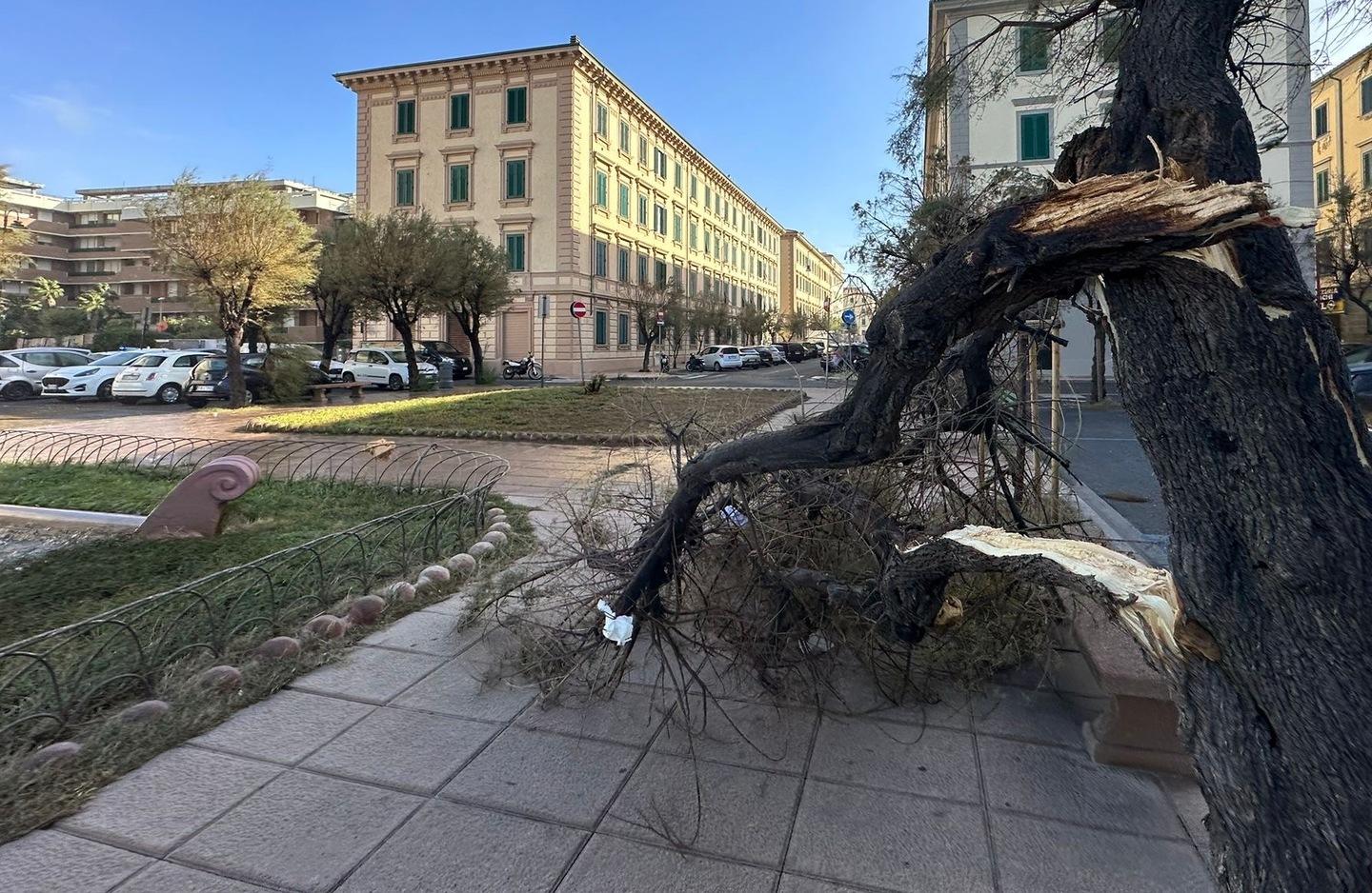 Scuole, parchi e cimiteri riaprono oggi a Livorno dopo il nubifragio.