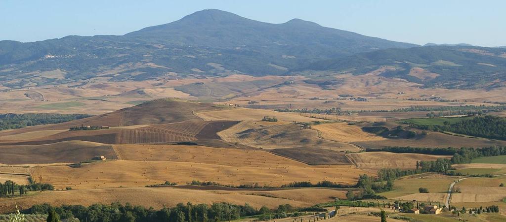 Riassumi questo titolo tra 55 e 65 caratteri Siena, la Cia lancia l'allarme, "Addio pecorino, in Val d'Orcia hanno vinto i lupi" - Siena News