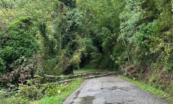 Rischio di frane e caduta sassi verso Arcigliano