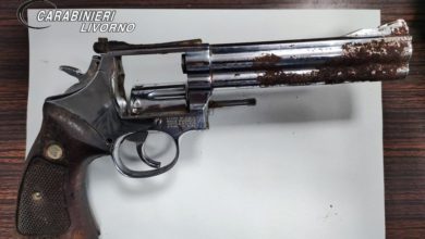 Ritrovata pistola rubata nel 2005 nel bosco