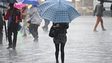 Chiusura scuole in Spezzino a causa di allerta meteo.