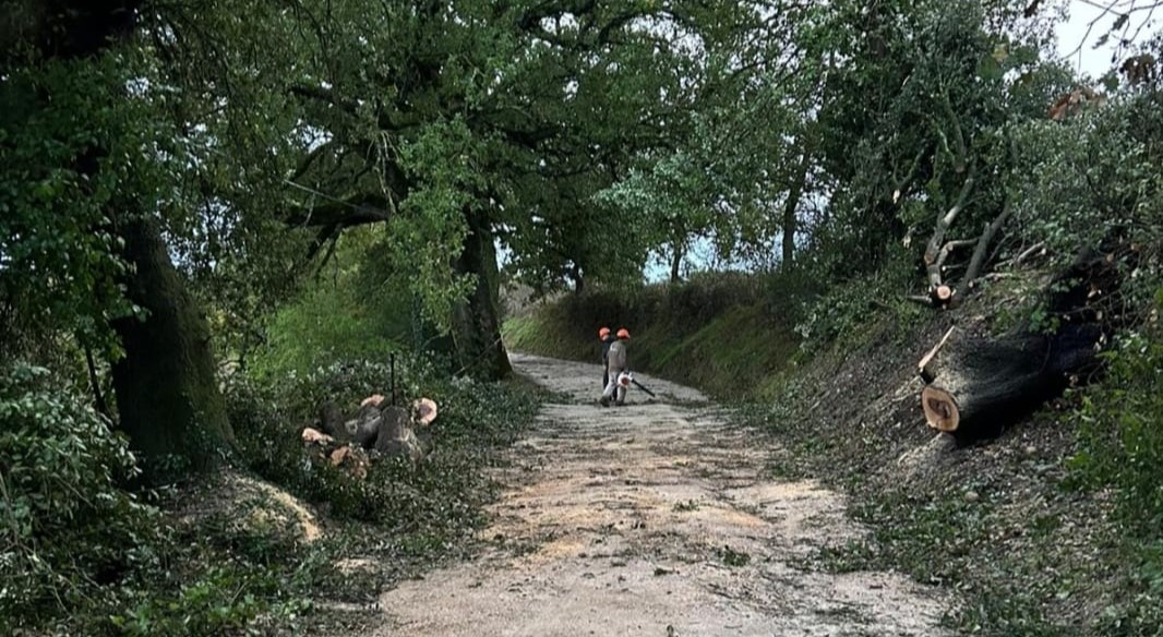 Siena, riaperta Montechiaro, stato emergenza Maltempo