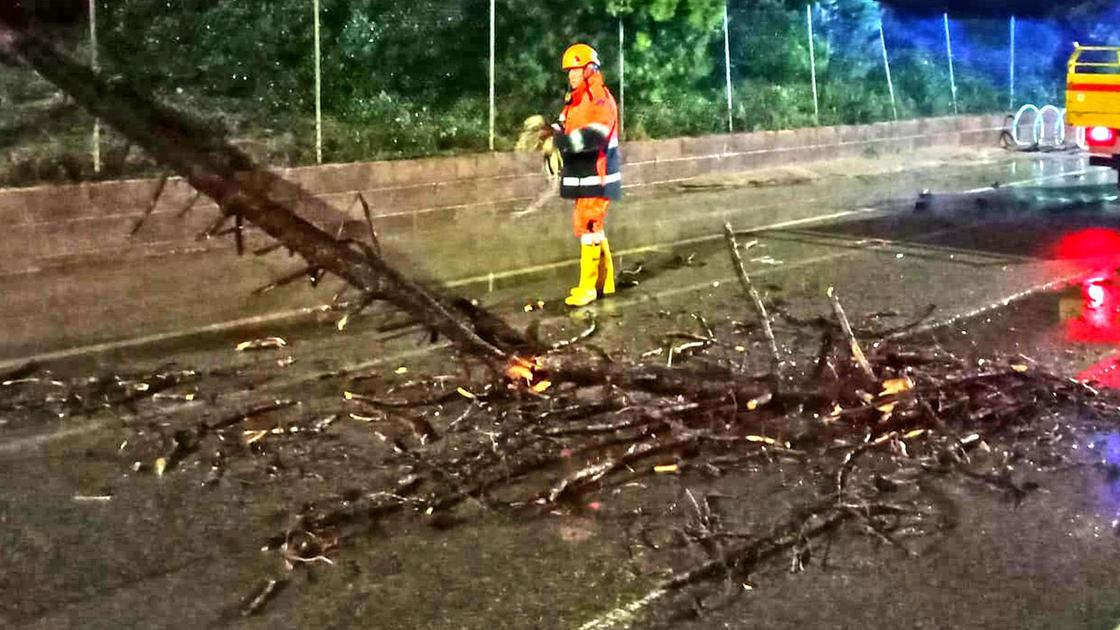 Strade bloccate, Comune senza trasporti