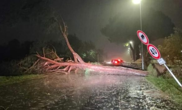 Tregua temporanea dal maltempo in Toscana, ma rischio arancione previsto per domani - Prima Firenze