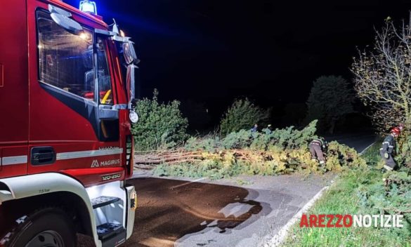 Video, Protezione civile allerta per pioggia e vento; treni rischiano cancellazione.