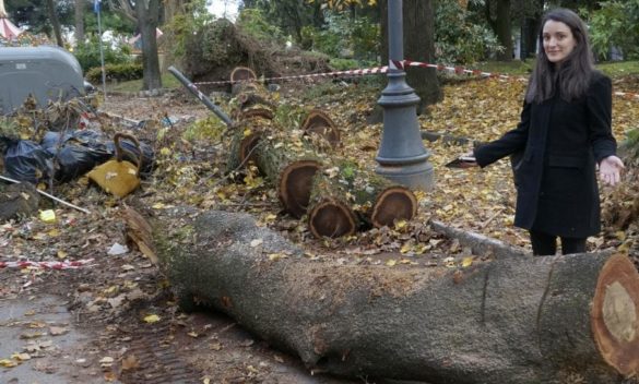 'Violento vento Ciaran sconvolge Firenze, più di 30 alberi abbattuti e niente quartiere è indenne. Preoccupazione diffusa in un asilo nido.'