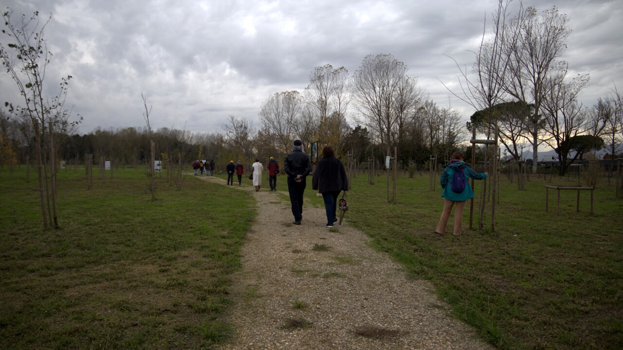 Visita al bio-bosco di Montopoli Valdarno per la Festa dell'Albero