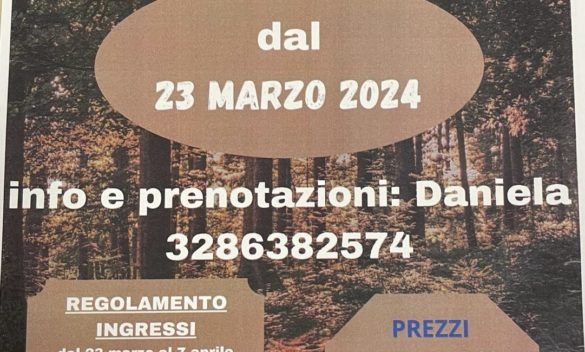 Apertura recinto addestramento cani ZAC I Lagoni