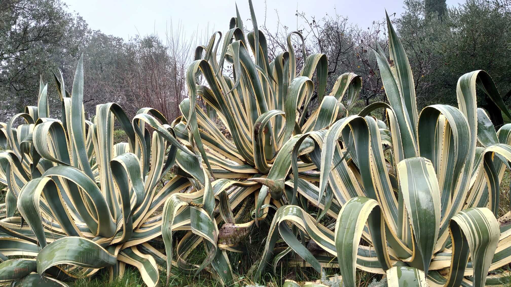 Il giardino del futuro (sostenibile e su misura) è già qui