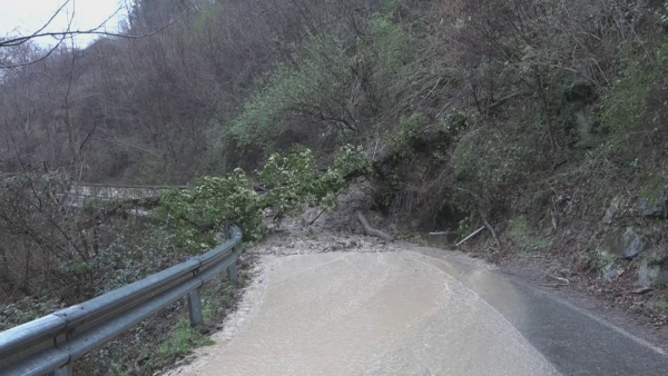 Maltempo. Frane e smottamenti in collina - Notizie