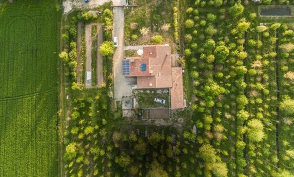 Creare un ettaro di nuovo bosco costa almeno 14mila euro