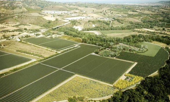 Da Essilux parco solare in Abruzzo, il primo del gruppo