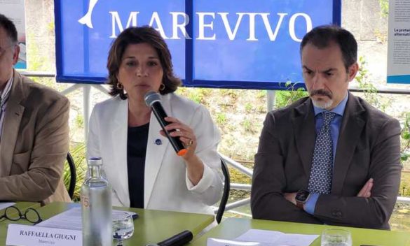 'Piccoli Gesti, Grandi Crimini', torna la campagna Marevivo