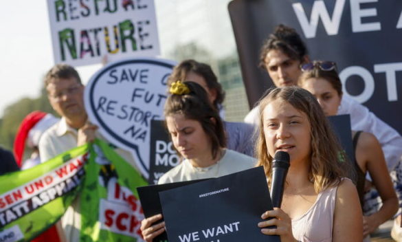 Legge sulla natura, la presidenza Ue cerca l'ok dopo le europee