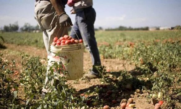 Controlli della Gdf, scoperti 60mila lavoratori in nero